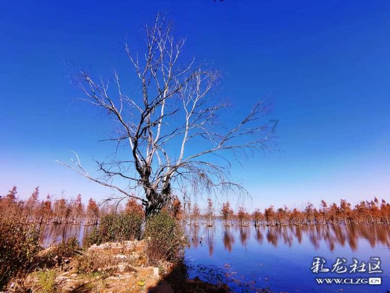 gb/t1355是什么面粉 - 游民星空