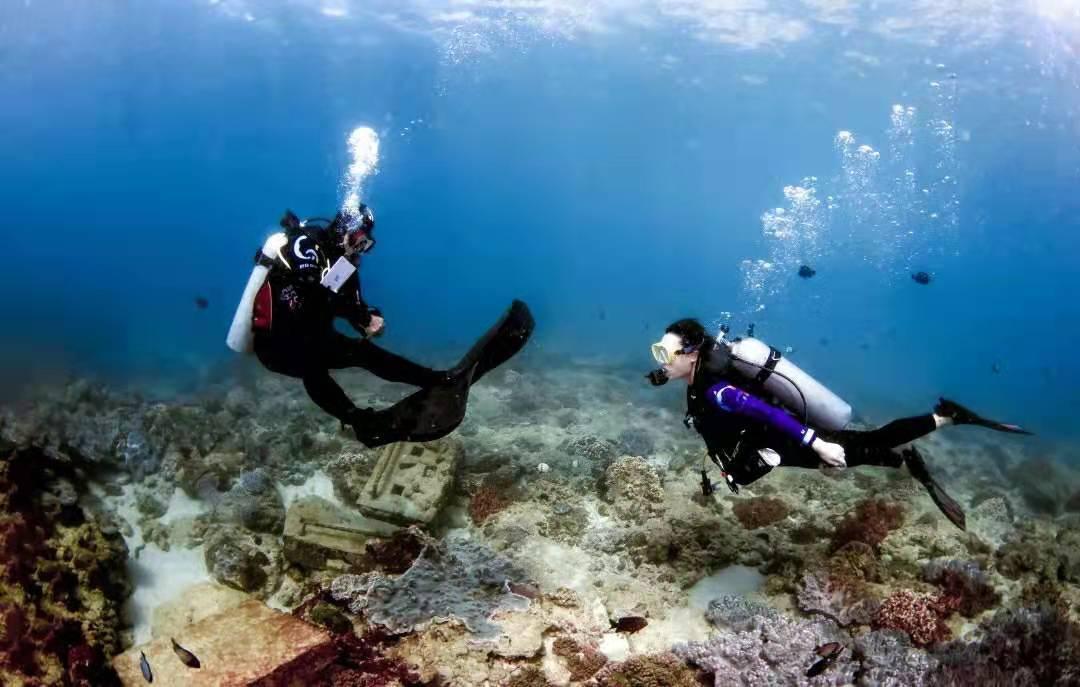 加入知识星球我的狗不喜欢吃狗粮怎么办?,获取专业知识与交流平台